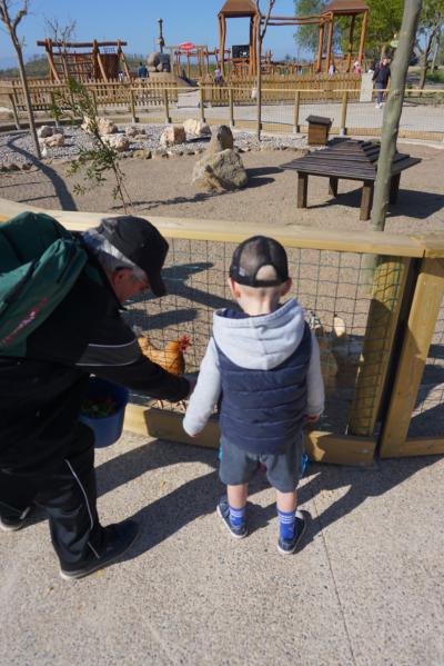 actividades para niños en sendaviva